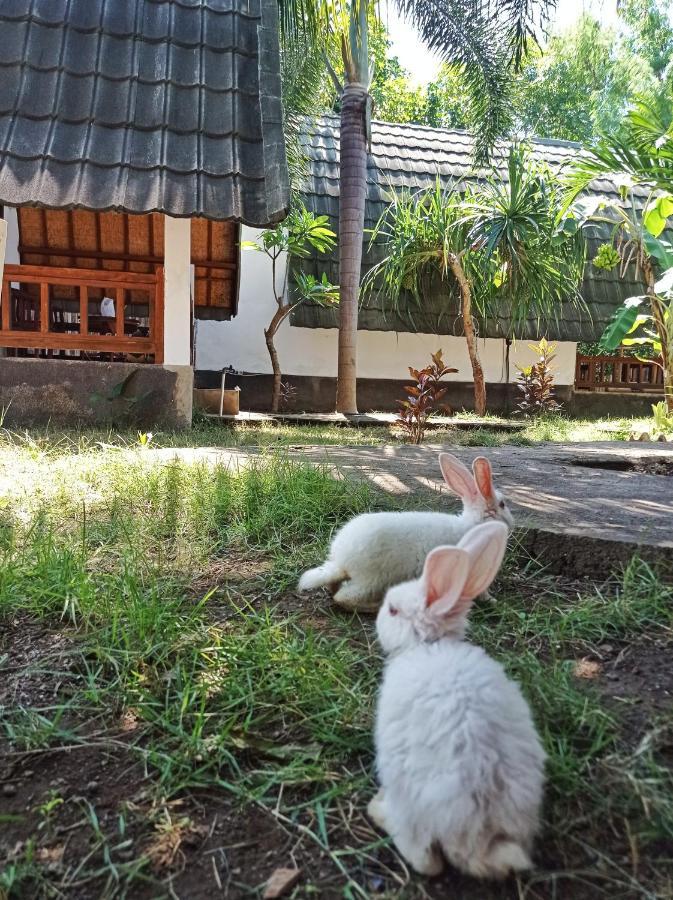 Follow The Rabbit Bungalow Gili Air Exterior photo