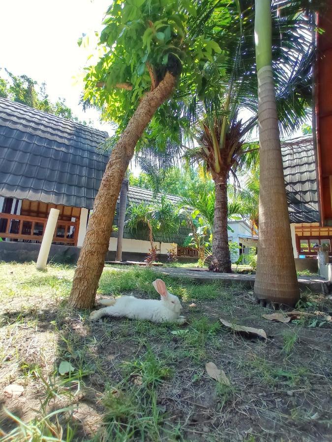 Follow The Rabbit Bungalow Gili Air Exterior photo