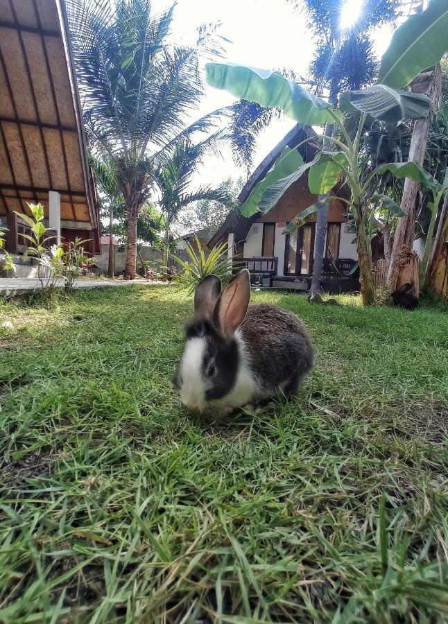 Follow The Rabbit Bungalow Gili Air Exterior photo