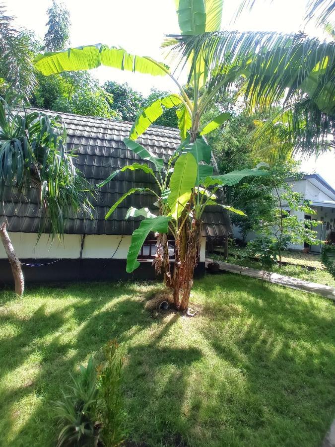 Follow The Rabbit Bungalow Gili Air Exterior photo